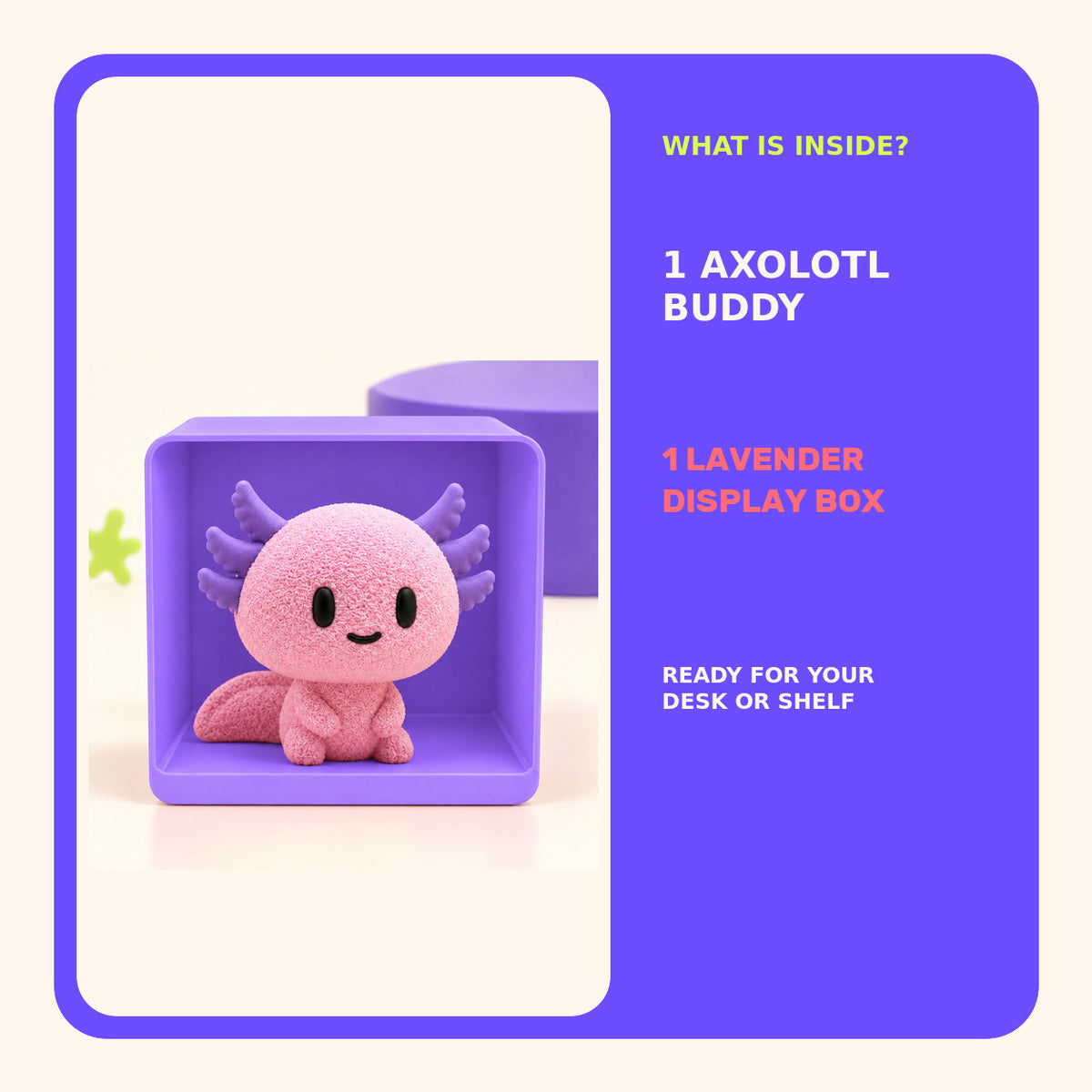 Lottie Buddy